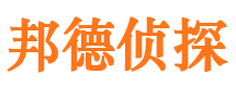 平鲁侦探公司